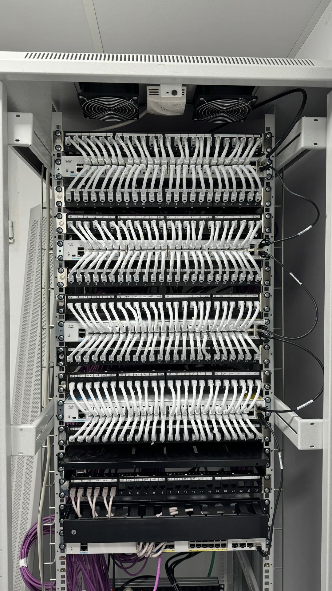 Rack con patchpanel Cat6 certificado en sala técnica